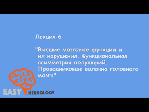 Общая неврология. Лекция 6 "Высшие мозговые функции и их нарушения"