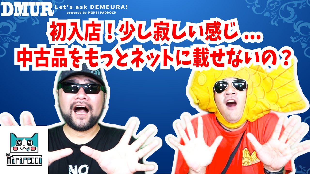 初入店！少し寂しい感じ...中古品をもっとネットに載せないの？【でめうらに聞きたい！】#モケイパドック #でめちゃん #裏方さん #まりるん #店舗 #接客 #在庫 #掲載 #木村平八郎