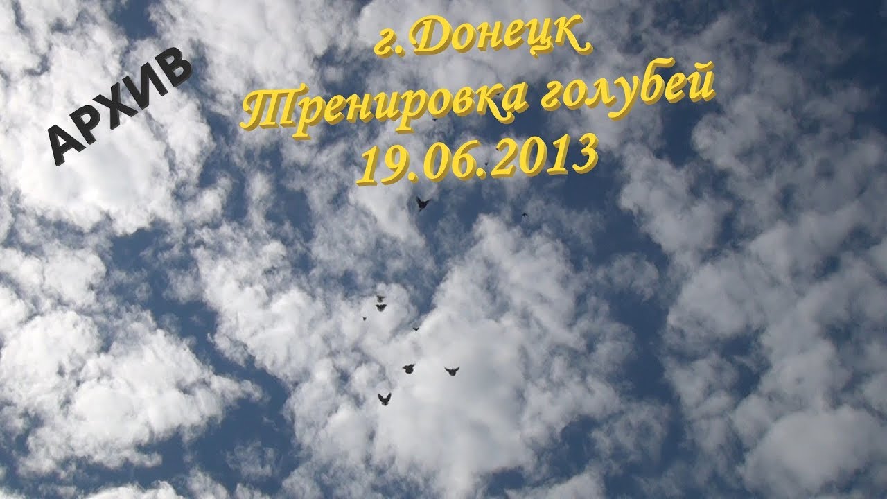 Архив. Питомник им. А.С. Брагина в Донецке 19.06.2013