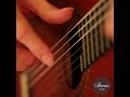 AMAZING GUITAR TECHNIQUE! | Craig Lake | Siccas Guitars | #shorts
