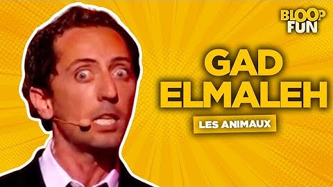 Gad Elmaleh - LES CHATS, ÇA SERT À RIEN !