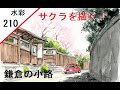 【210】　桜の小路　藤森水彩画　watercolor:Cherry blossom alley　鎌倉　旧川喜多邸　風景画