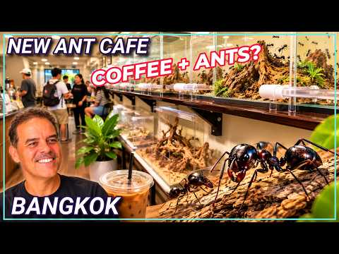 Discover Bangkok’s most unusual NEW café — an Ant Cafe! 🐜☕