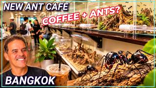 Discover Bangkok’s most unusual NEW café — an Ant Cafe! 🐜☕