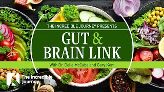 Brain-Gut Connection: How Food Shapes Your Mind screenshot 2