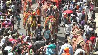 Dancing camel in Ujjain Kumbh mela
