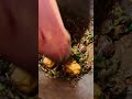 Quick &amp; Tasty Recipes  #billionairefood  #lifestyleofrich #luxurystreetfood #fruit   #satisfying