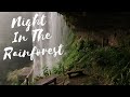 Adventure Hike in Costa Rica - Night in the Rainforest (4k)