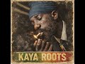 KAYA ROOTS[Unreleased 1980 AlbumRoots Reggae | Dub | Rastafari | Lost Tapes