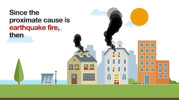 Proximate Cause Video