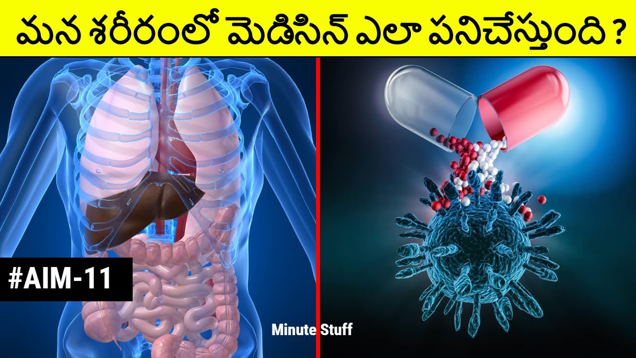 How Medicine Works In Human Body In Telugu How Tablets Works AIMS humanbodypartsnames-humanbod-parts-of-human-body-in-telugu-human