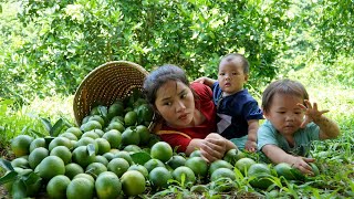 Harvest the orange garden to sell at the market - fish trap to catch fish, cook with your children