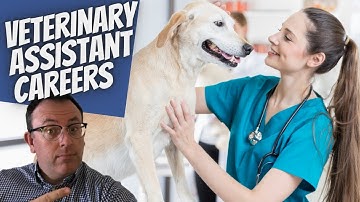 VETERINARY ASSISTANT CAREERS:  Help pets and learn skills!