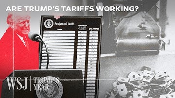 How Trump’s Record Tariffs Are Actually Hitting the Auto Industry | WSJ