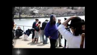 Purple Haired WTF at the 2013 Cherry Blossom Festival