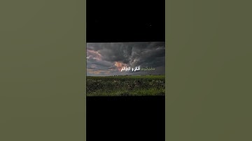 سورة النجم الآيات[ 16_26 ] #محمد_اللحيدان #المصحف #اكسبلور #فلسطين #راحة_نفسية #سورة_النجم