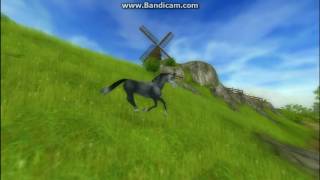 [SSO] - RANDOMNESS #1