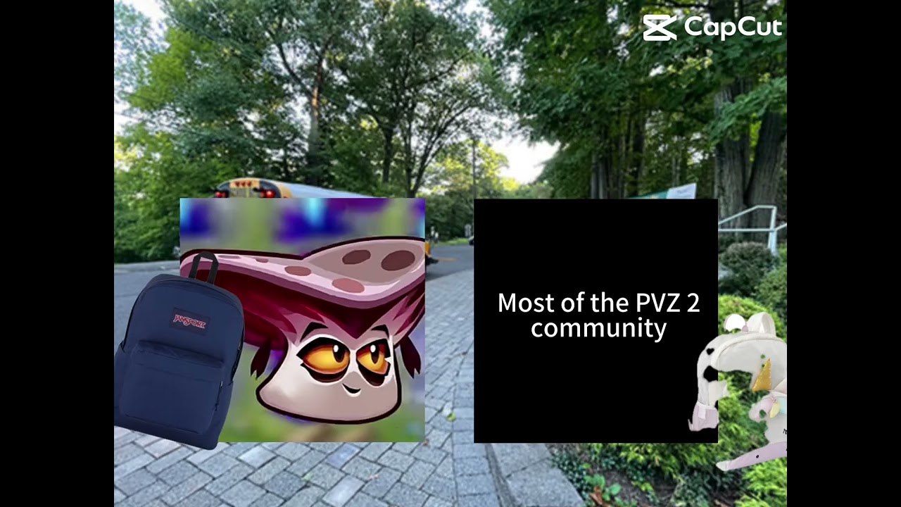 Shaming Vamporcini for the 2,763rd time