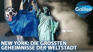 Einheimischer New Yorker zeigt die größten Geheimnisse der Weltstadt