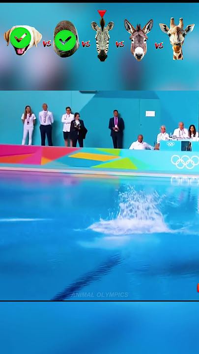 Dog vs Gorilla vs Zebra vs Donkey vs Giraffe-Pool Diving Challenge
