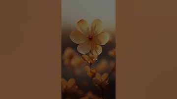 وَقَالَ رَبُّكُمُ ٱدۡعُونِيٓ أَسۡتَجِبۡ لَكُمۡۚ | سورة غافر | ياسر الدوسري