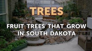 Fruit Trees That Grow in South Dakota