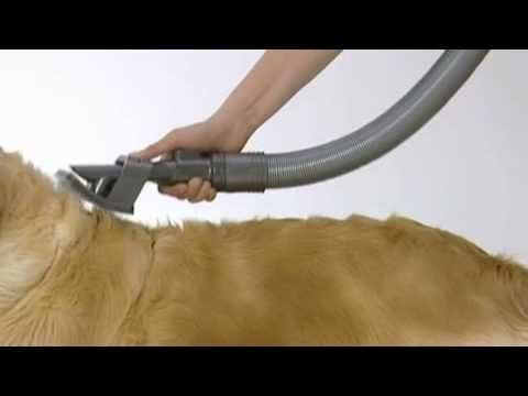 dog vacuum hair cutter