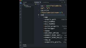 Python Writes a C++ Program?! 😳🤫