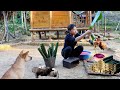 Bamboo tube BBQ: How to make bamboo tube rice delicious? Build a farm, Live with nature. #121