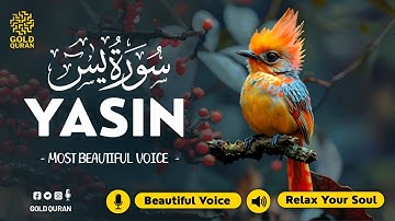 Relaxing Surah Yasin for Sleep, Depression, & Anxiety ✦ Yaseen سورة يس ✦ Soothing Quran ✦ Hejazi