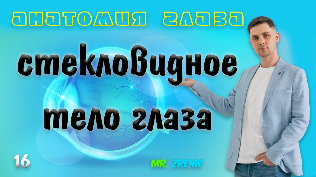 Стекловидное тело глаза