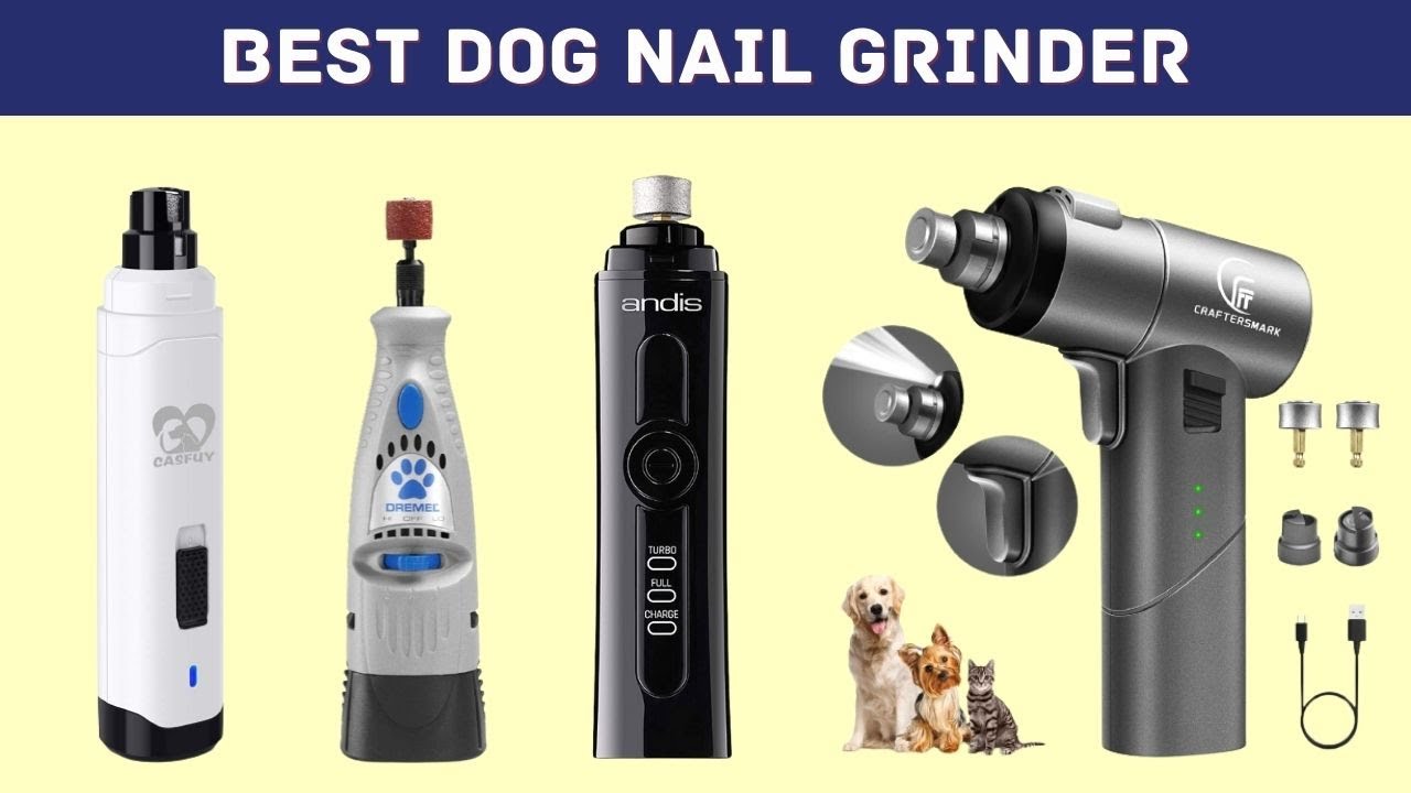 Best Dog Nail Grinder Easy Way To Grind Dog s Nails YouTube best-dog-nail-grinder-easy-way-to-grind-dog-s-nails-youtube