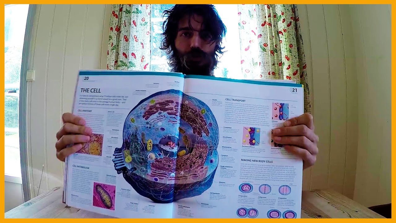 learn about how the body works book recommendation youtube body works book
