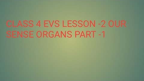Class 4th Evs lesson -2 our sense organs (Part-1)