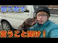 愛犬を散歩させてたら襲われた