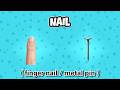 Learn 35 Homonyms Words for Kids English | Easy Learning with Examples