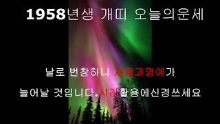 오늘의운세 : 개띠