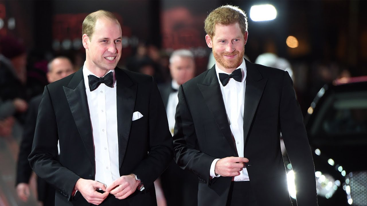 Prince Harry & Prince William 'are both alphas and raised to be leaders