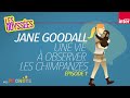 Jane goodall une vie  observer les chimpanzs pisode 1  les odysses