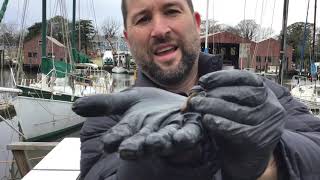 Oyster Project - Episode 7
