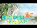 [특집다큐'섬과꽃']여름에 만난 꽃빛, 섬여행~꽃구경 #수국 #홍도원추리