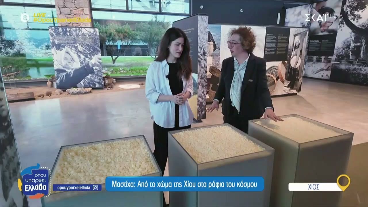 Ο χρυσός της Χίου: Η μαστίχα ταξιδεύει σε 55 χώρες | Όπου Υπάρχει Ελλάδα | 06/05/2025