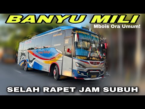 Mbois Ora Umum ❗️ Selah Rapet Poll Di Jam Subuh ❗️| trip Sugeng Rahayu W 7072 UZ “ Banyu Mili “