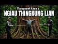 TLANGMAWI KHAW NGIAU KUNG LIAN