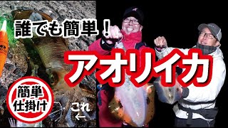 カルビイカ★セット Amazon.co.jp: ダイワ(DAIWA) イカダリール 25BJイカダ65