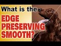 What Is Edge Preserving Smooth in PaintShop Pro and When to Use It