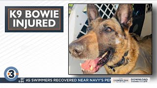 Man arrested after allegedly assaulting Madison police K9