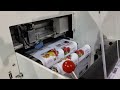 Vorey VD240 desktop label finisher