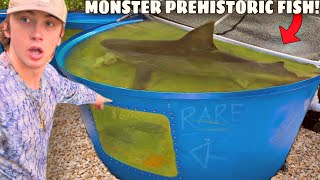 I Bought a PREHISTORIC Pond Monster! by Bass fishing Productions 1,380,220 views 7 months ago 22 minutes