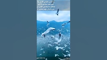 الشيخ محمد صبري من سورة الأنعام